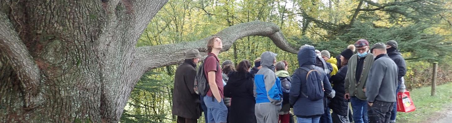 Sortie botanique, mycologique et plus 